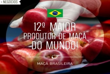 O Brasil é o 12º maior produtor de maçã do mundo